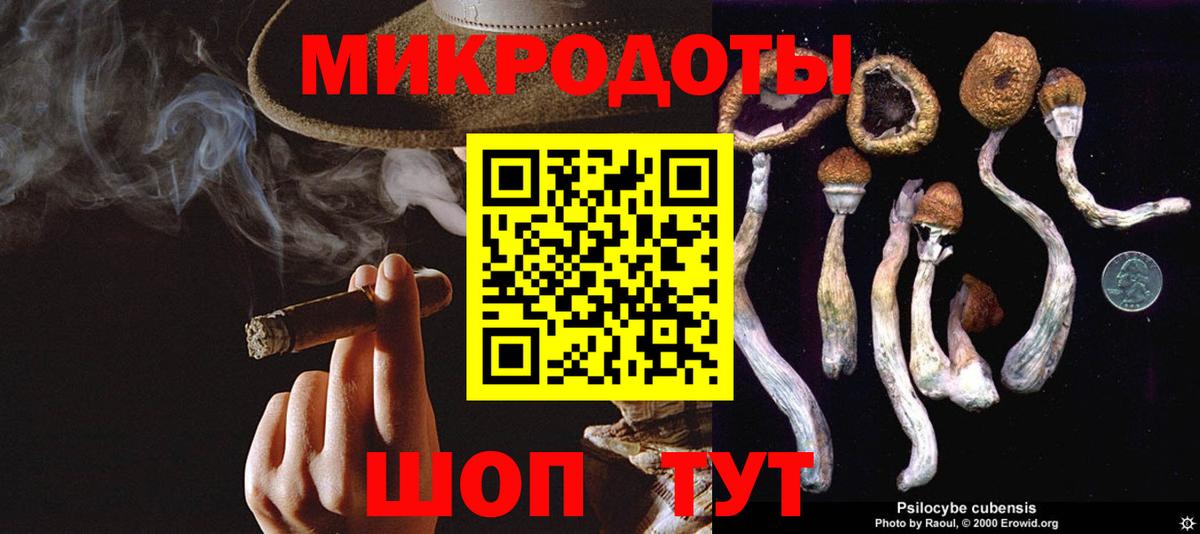 Галлюциногенные грибы Psilocybine cubensis  Галлюциногенные грибы Magic Shrooms  Щёлково  Вход с VPN 